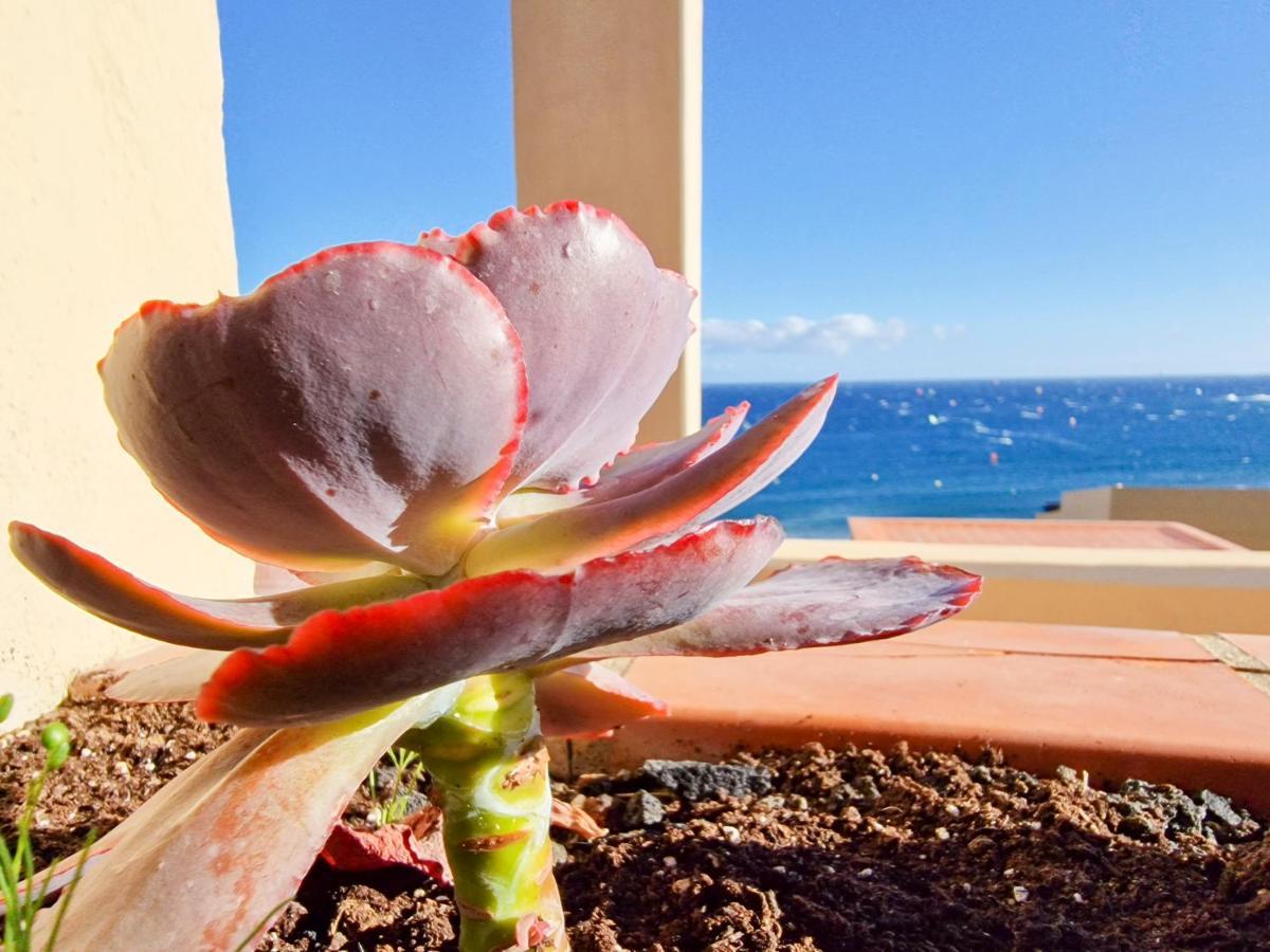 Medano4You The Ocean Terrace Penthouse El Médano Buitenkant foto